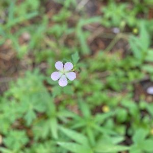 Meet your Posher, Brady